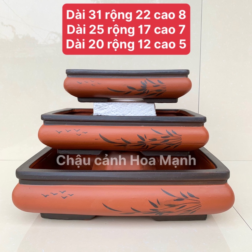 Chậu chữ nhật bonsai cây cảnh màu đỏ 3 size SP531