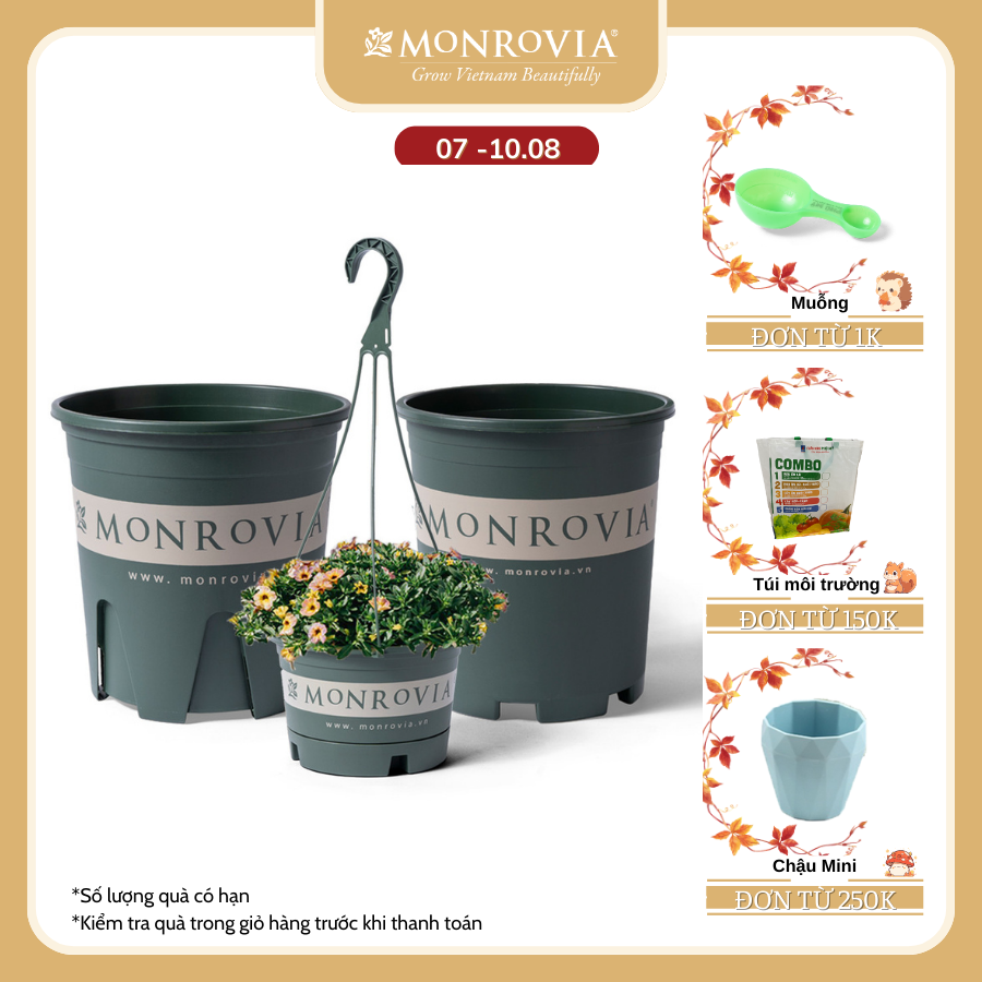 Chậu nhựa trồng cây MONROVIA để bàn, treo ban công, treo tường, ngoài trời, sân vườn, tiêu chuẩn Châu Âu