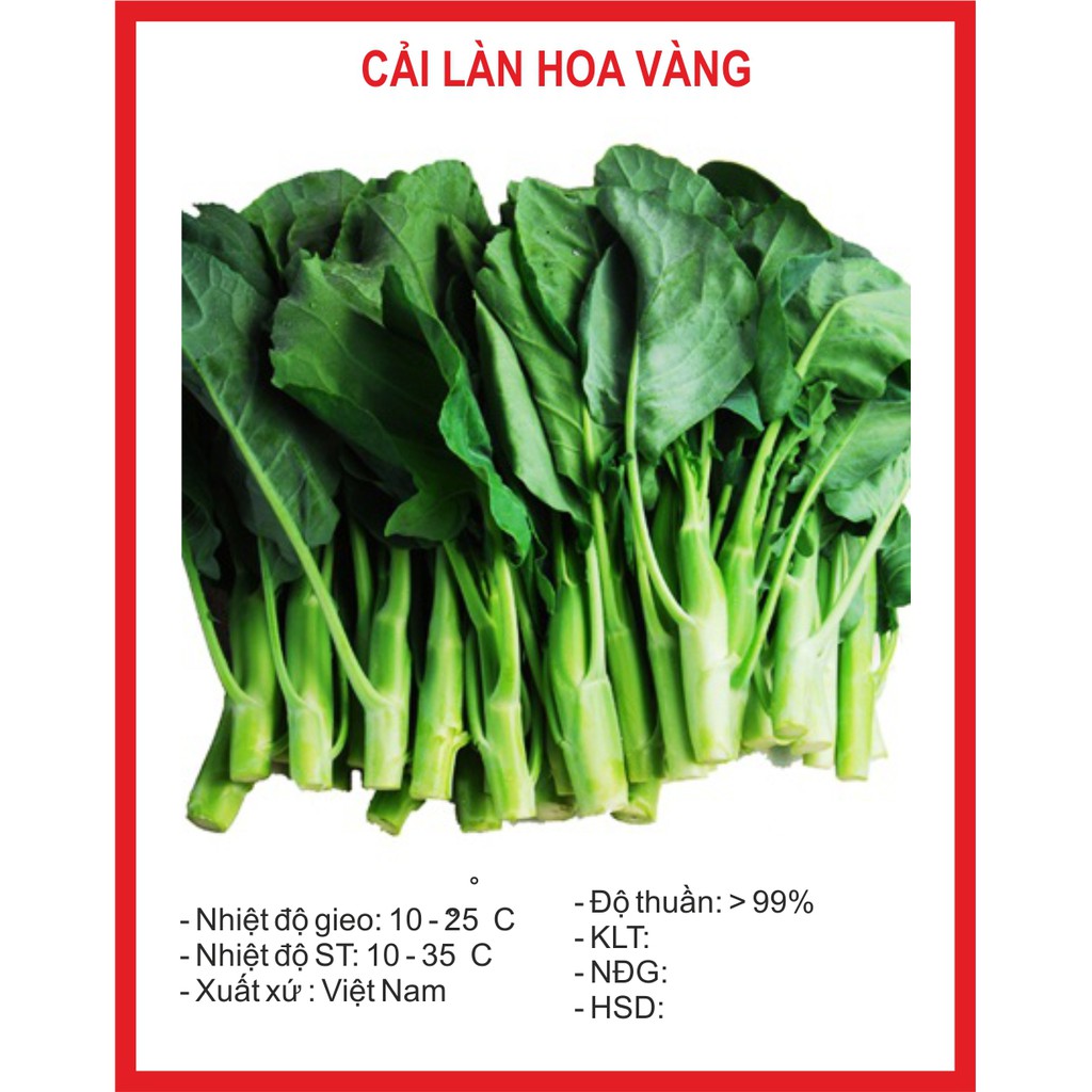 Hạt Giống Cải làn hoa vàng 20gr ~3000 Hạt