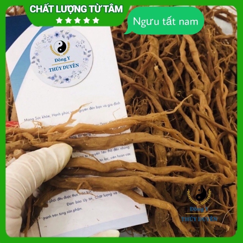 Ngưu tất nam khô 1kg 500gram