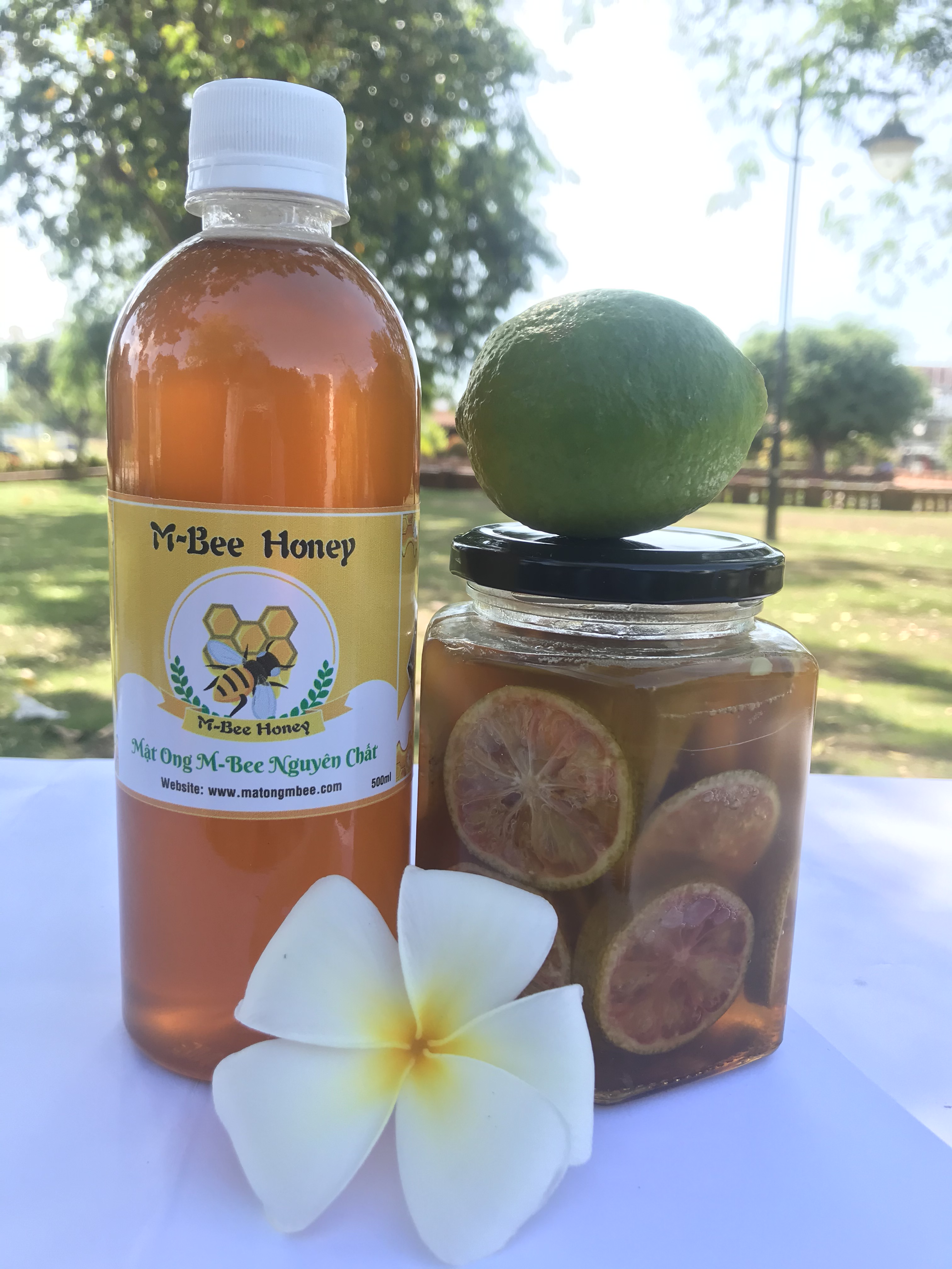 Mật ong hoa cafe m-bee - đăk lawk - 500ml