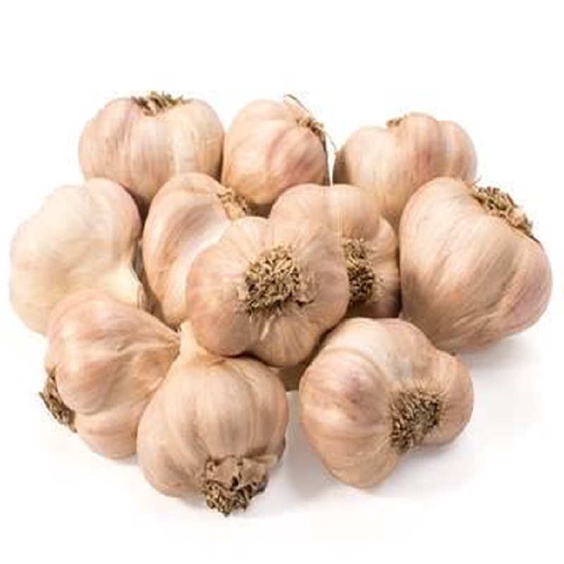 Tỏi ta 3kg Tỏi bắc loại 1 Hải Dương đã chọn lọc