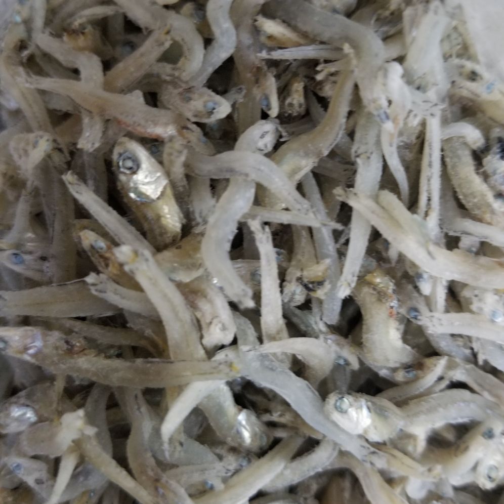 500gr cá cơm mờm sữa Nha Trang