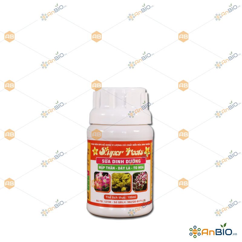 [HCM]SUPER ROOTS SỮA DINH DƯỠNG Chai 100ml BỔ SUNG VITAMIN B1 VÀ ĐIỀU HÒA SINH TRƯỞNG - B2.1040