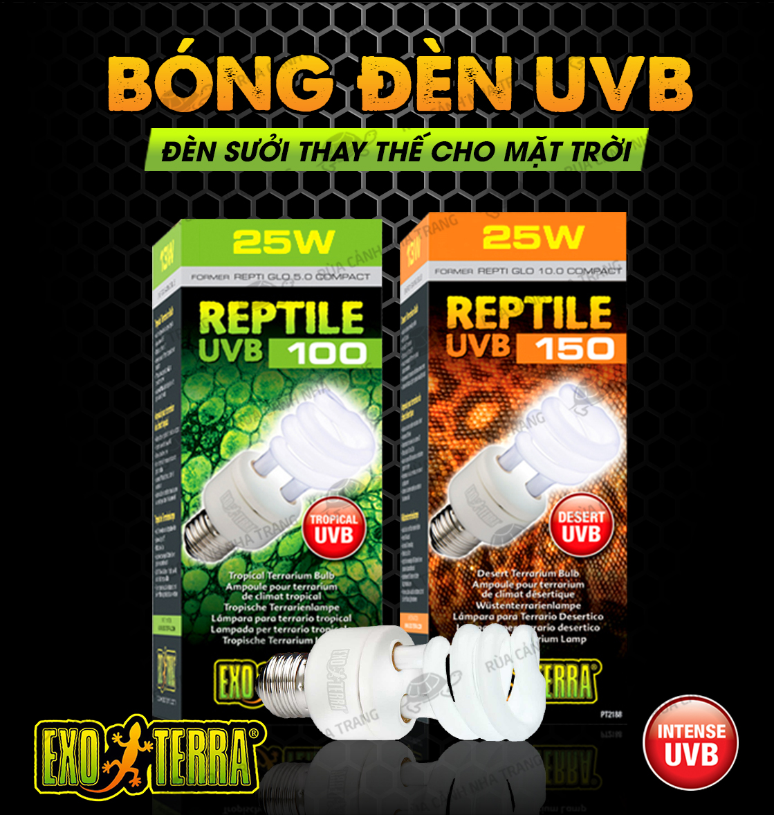 ĐÈN UVB [CHÍNH HÃNG EXO-TERRA] ĐÈN SƯỞI THAY THẾ MẶT TRỜI