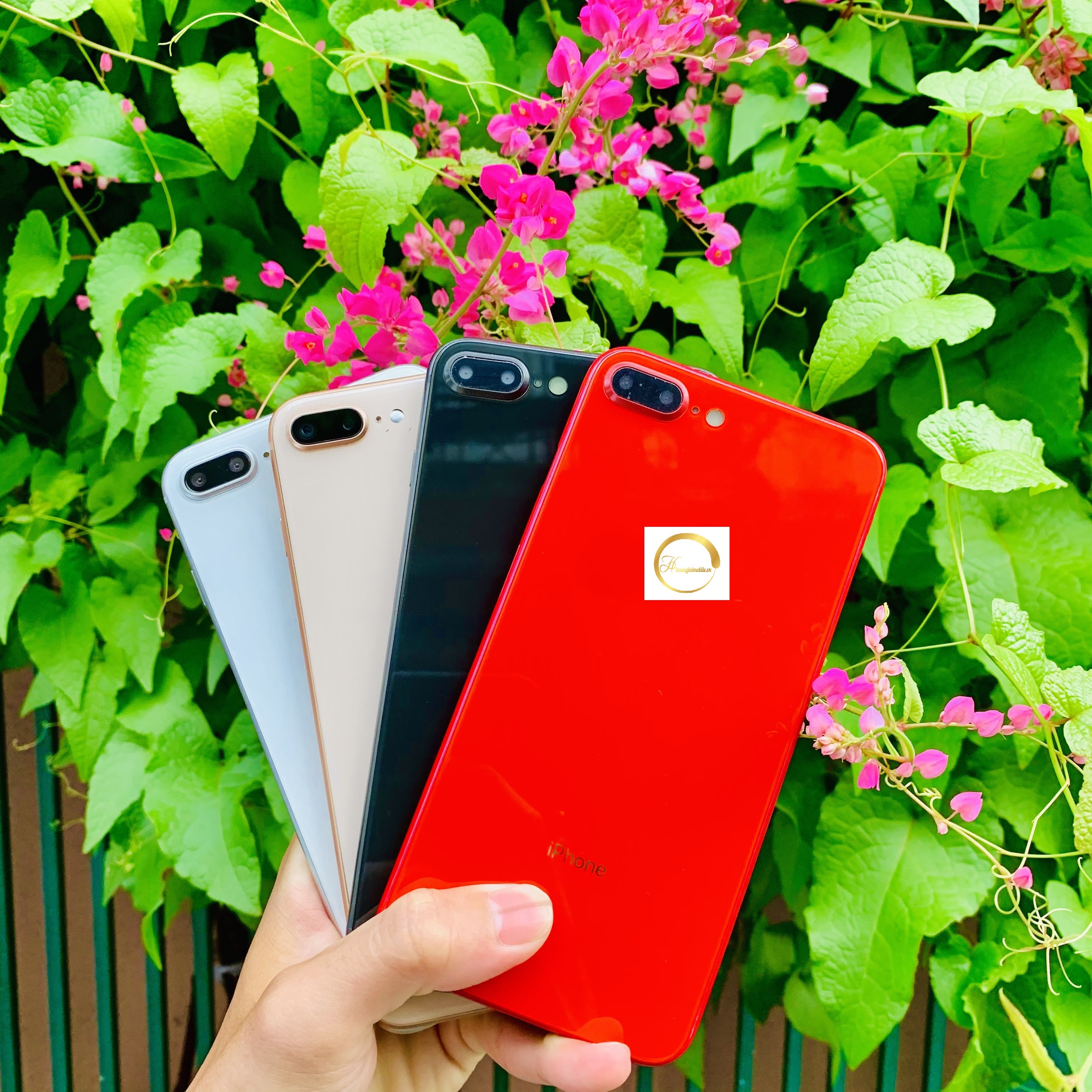 Mô hình trưng bày i.p 8Plus đủ màu cực đẹp