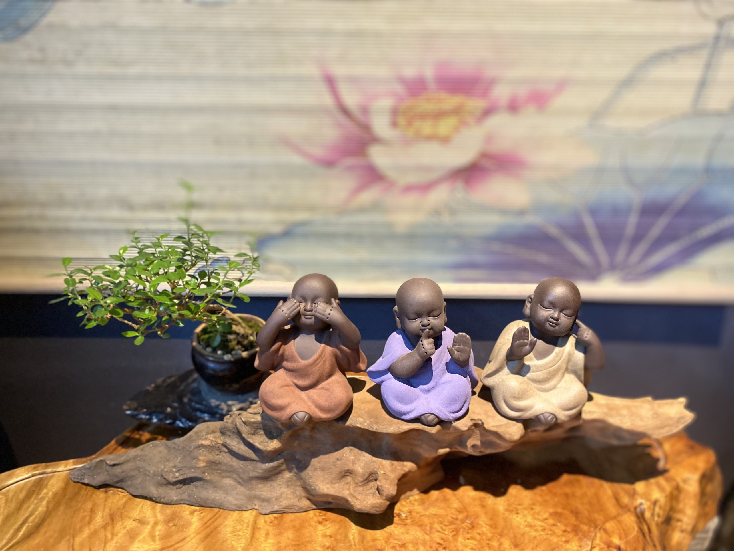 [HCM ]ĐÔN KÊ TƯỢNG BA CHÚ TIỂU TAM KHÔNG- GỖ TỰ NHIÊN_CJ BLISS