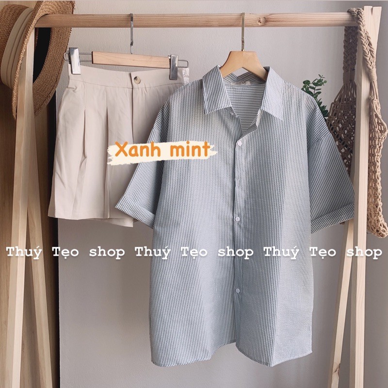 Áo sơ mi kẻ sọc cộc tay cổ đức - áo sơ mi nữ kẻ
