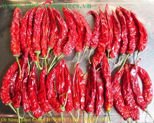 Ớt sừng trái phơi khô cao cấp 100gram