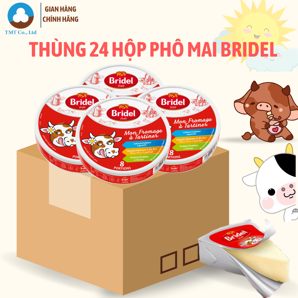 Thùng 24 hộp Phô mai miếng phô mai tam giác thương hiệu Bridel hộp 8 miếng nhập khẩu từ Pháp date 25.07.25