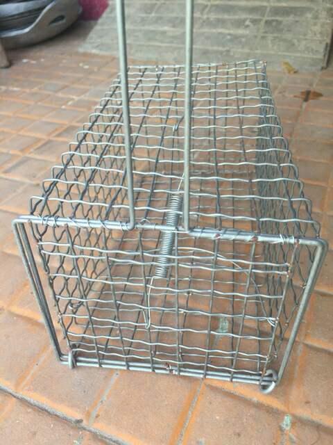 2 cái bẫy chuột có khoen khoá, loại 30cm