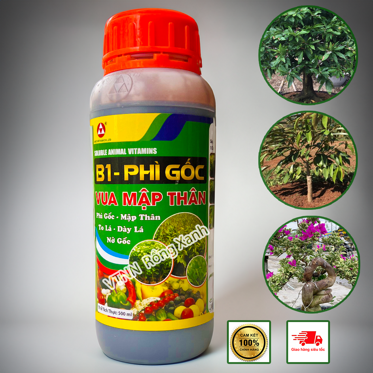 Phân bón b1 phì gốc mập thân mập cọng bự gốc nở ngọn chống vàng lá nở gốc dưỡng rễ