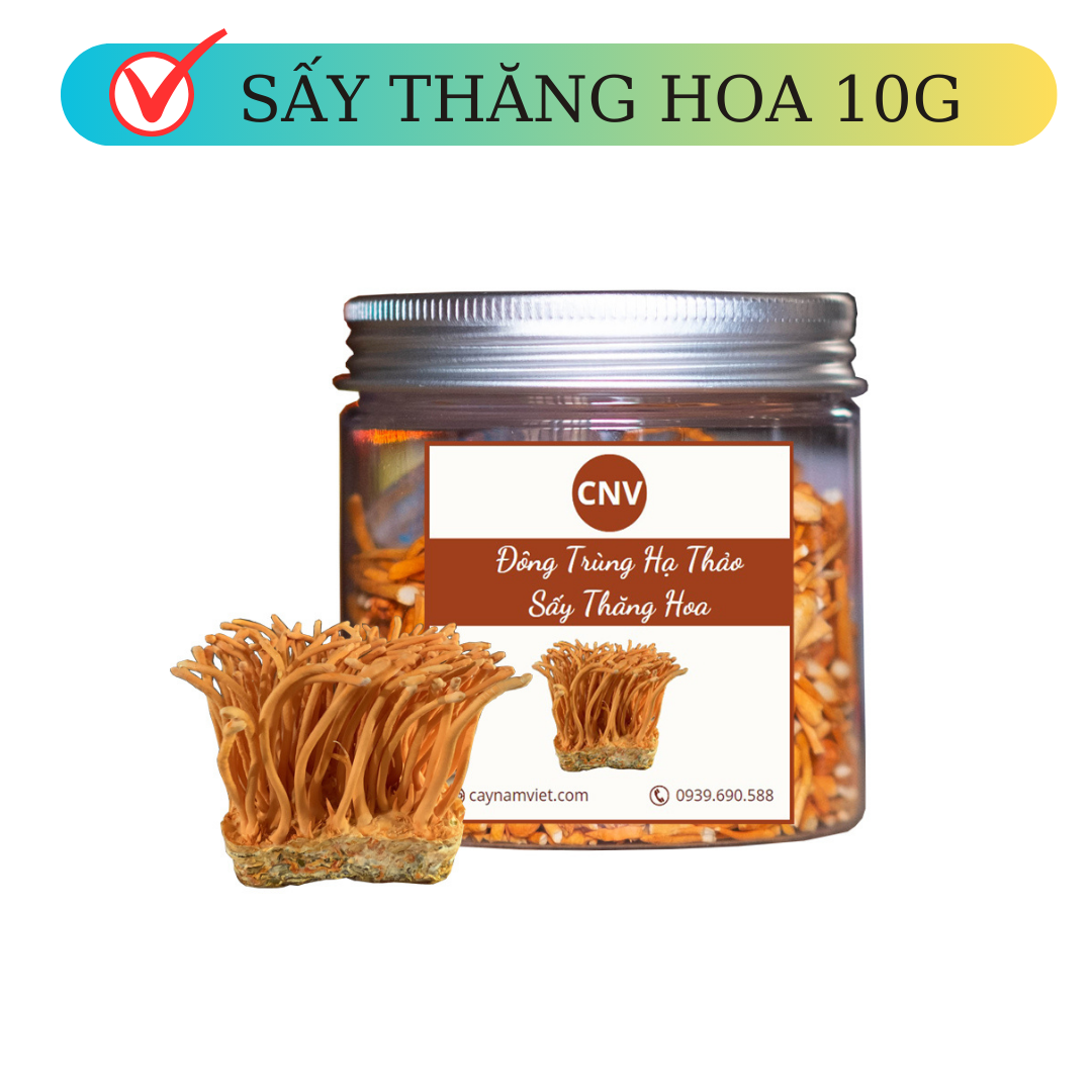 Đông trùng hạ thảo sấy thăng hoa loại vụn 15g - Cây Nấm Việt