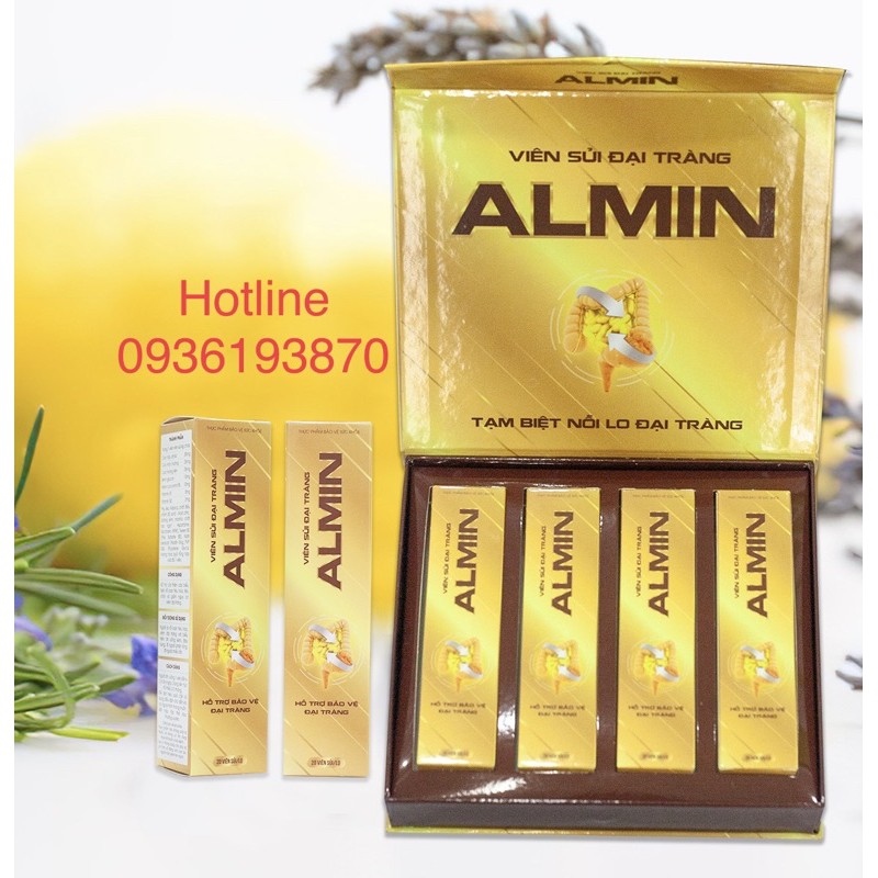 ☒▬♗  ĐẠI TRÀNG ALMIN