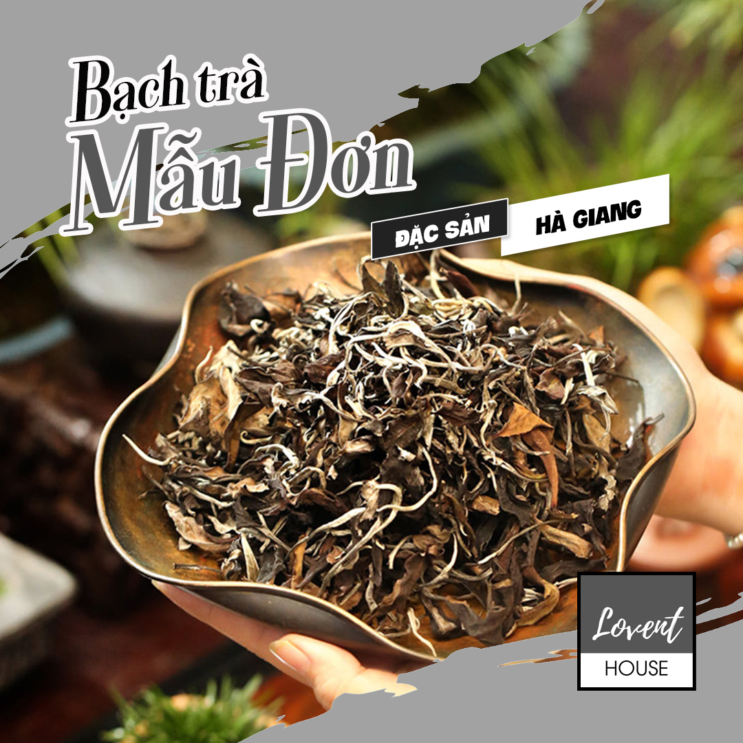 [HCM]Bạch Trà Mẫu Đơn- Trà Shan Tuyết cổ thụ Hà Giang Đặc sản trà Bắc Việt Nam 100gr hương thanh vị ngọt [Lovent House]