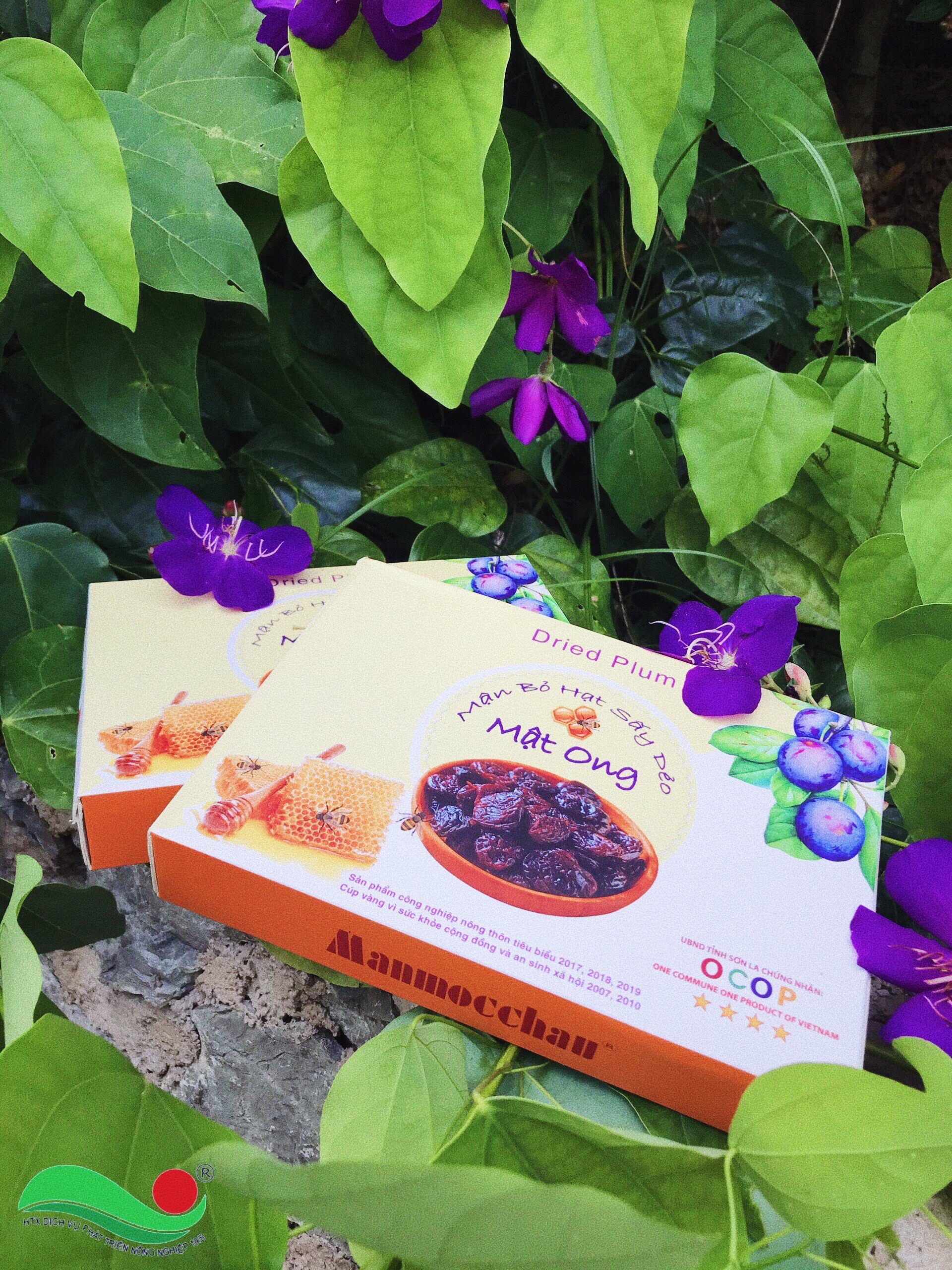 Mận mộc châu bỏ hạt sấy dẻo mật ong hộp 240g