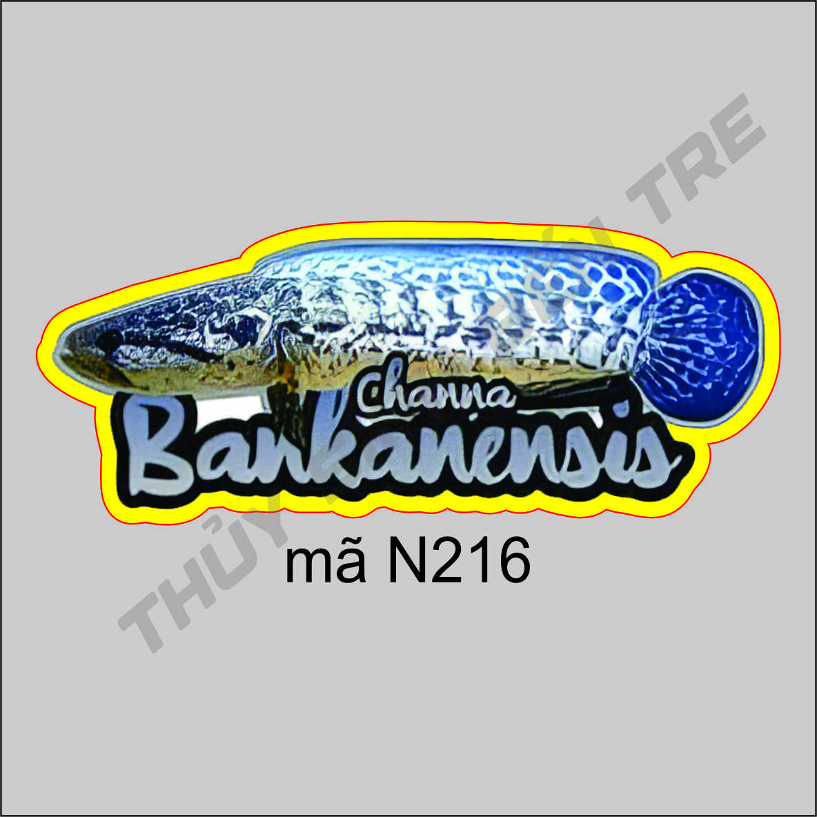 sticker - tem dán cá lóc cảnh 10cm - trang trí hồ cá theo phong cách indo - màu sắc bắt mắt - 4
