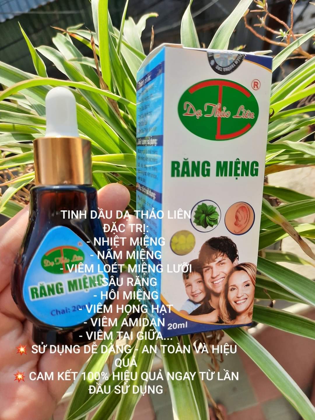Tinh Dầu Răng Miệng Dạ Thảo Liên Chai 20Ml