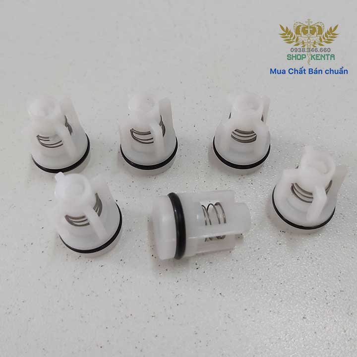 BỘ 6 VAN 1 CHIỀU CHO MÁY XỊT RỬA CAO ÁP - Phụ kiện máy rửa xe