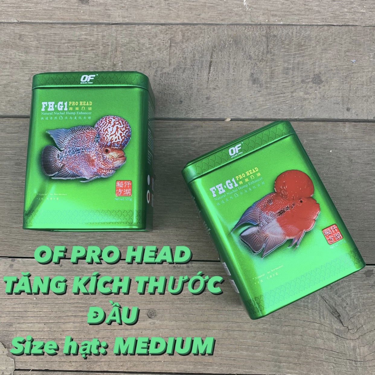 Thức ăn cho cá la hán lên đầu of pro head fh-g1 120g