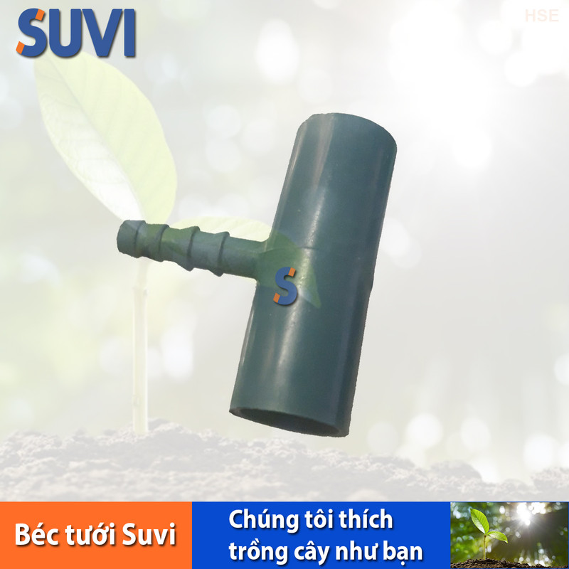 T 21mm đuôi 10ly bb t 21 đ10