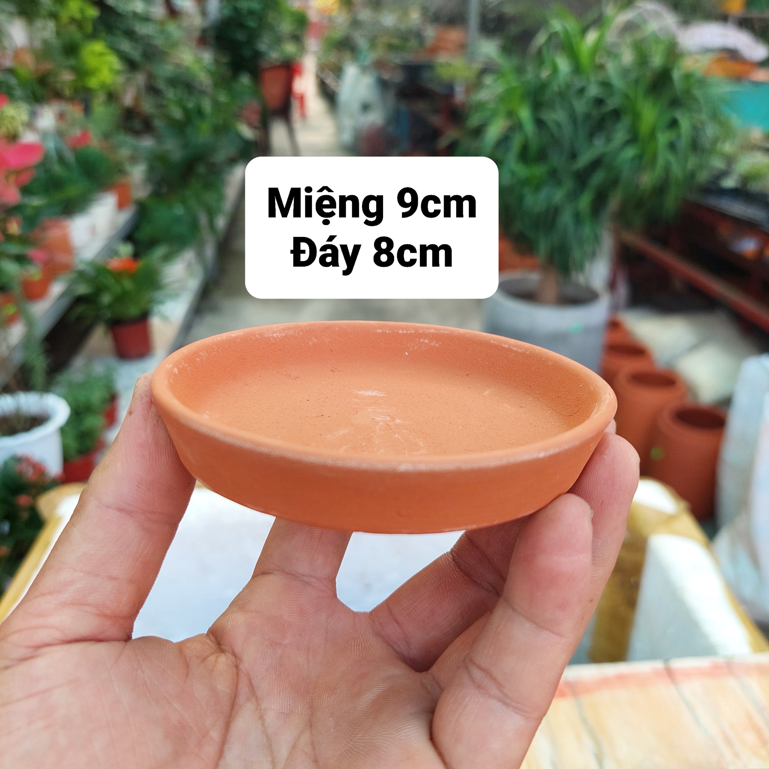 Chậu đất nung Bình Dương - Dĩa lót chậu, miệng dĩa 9cm, đáy dĩa 8cm
