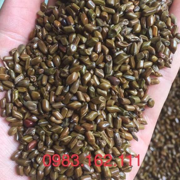 set 3kg hạt muồng muồng xuất khẩu loại 1