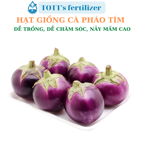 Hạt giống cà pháo tím dễ nảy mầm dễ trồng TOTT's fertilizer