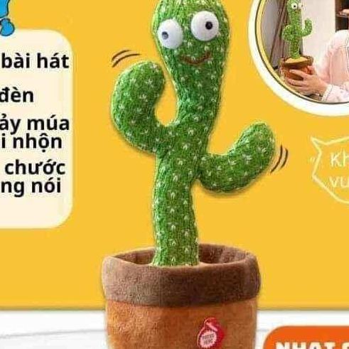 Cây xương rồng nhảy múa