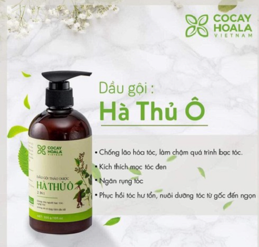 Dầu gội thảo dược Hà Thủ Ô COCAY - 800ML