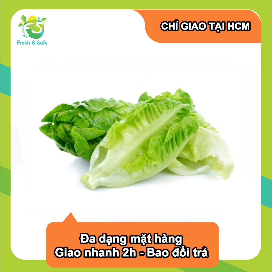 [Chỉ Giao HCM] Xà lách Romaine - 1kg (sỉ)