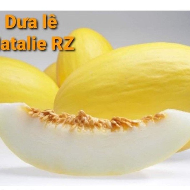 [HCM]Combo 10 Hạt Giống Dưa Lê Natalie F1 Rz Thịt Dày Vỏ Mỏng Thơm Ngon Dễ Trồng Khả Năng Chịu Nhiệt Tốt