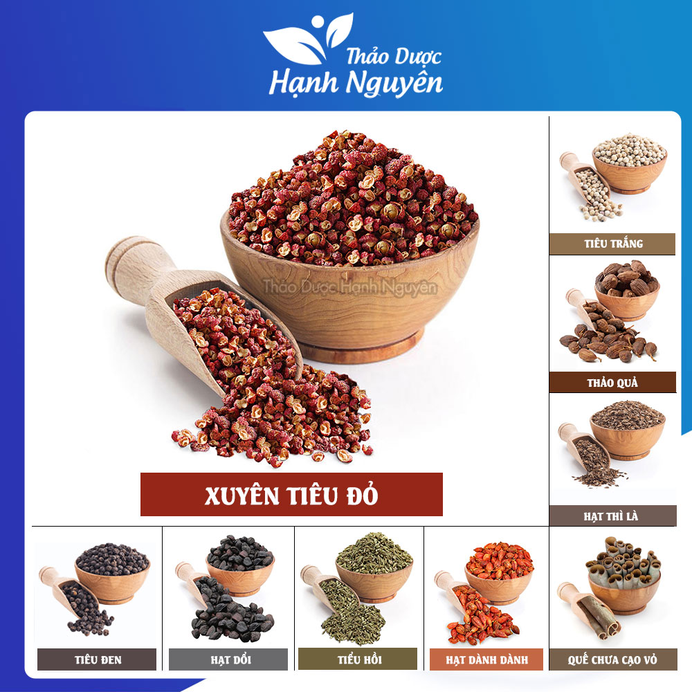Xuyên tiêu đỏ 100g (Hoa tiêu Tứ Xuyên, thơm, cay, tê) - Thảo dược Hạnh nguyên