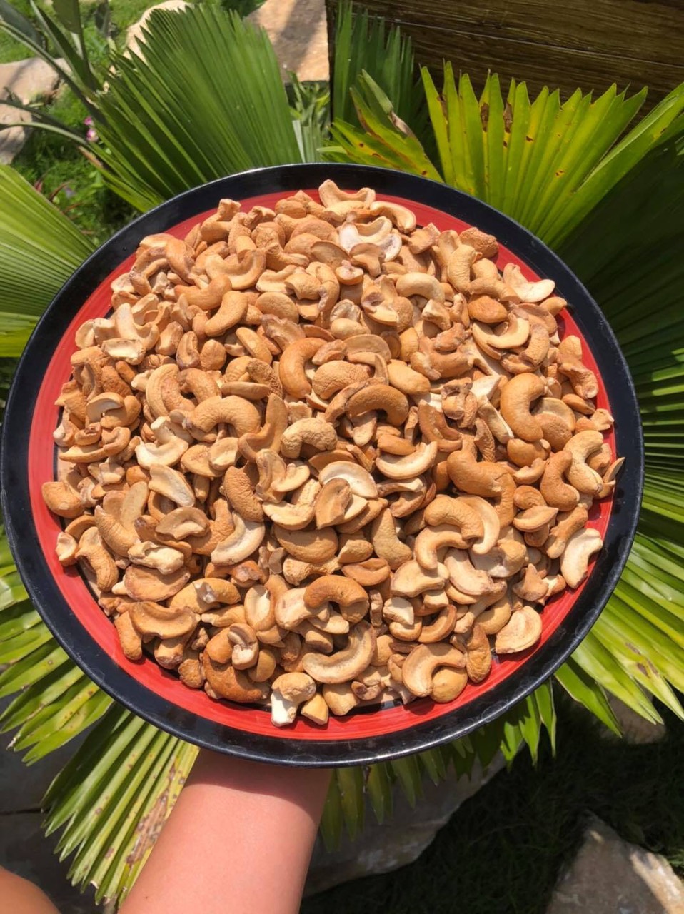  NGUYÊN VỊ KHÔNG MUỐI - 1KG HẠT ĐIỀU CHUẨN XUẤT KHẨU LOẠI A CỒ BỂ ĐÔI BỂ BA SẠCH VỎ LỤA - HẠT ĐIỀU HOÀNG LINH LINH 