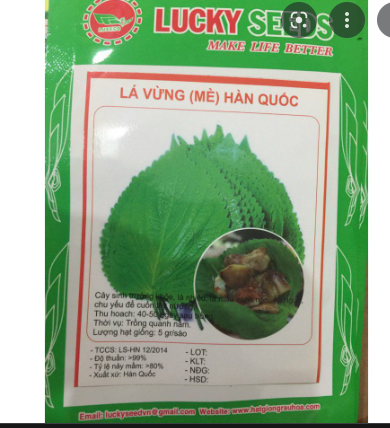 Hạt giống vừng hàn quốc