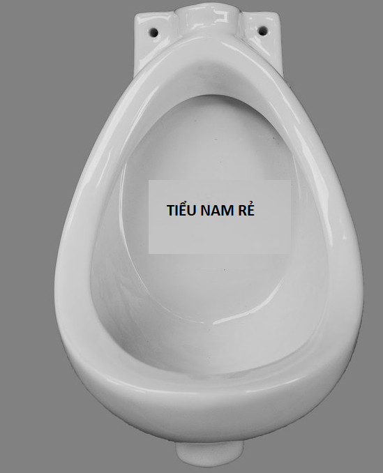 Bồn tiểu nam, bồn tiểu nam treo tường có bấm xả nước