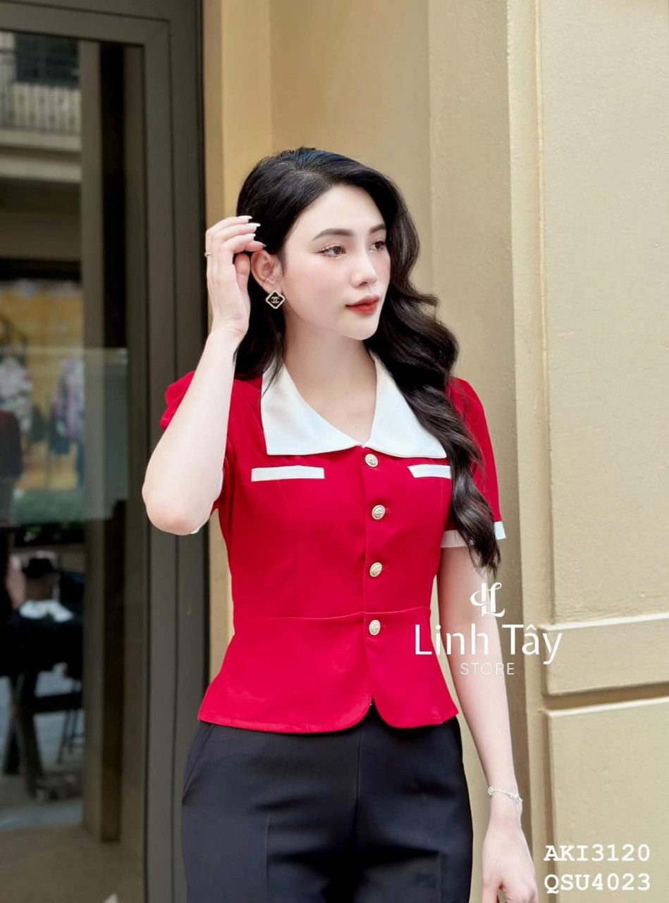 Áo kiểu duyên dáng quý cô b8877