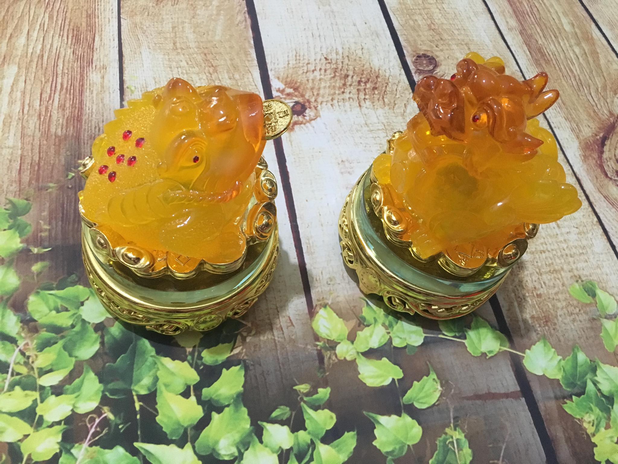 Cóc tỳ hưu vàng pha cam