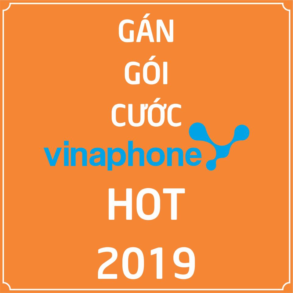 [HCM][Nhập ELJAN11 giảm 10% tối đa 200k đơn từ 99k]Gán Gói Cước VD79 VD89 VD129 VD149 Tặng 2-4GB/tháng + Gọi Free Nội & Ngoại mạng Vào SIM Vinaphone đang dùng. Không cần Mua SIM Mới