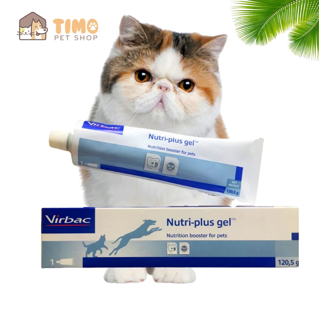 Gel Dinh Dưỡng Cho Chó Mèo Nutri-Plus Gel Virbac