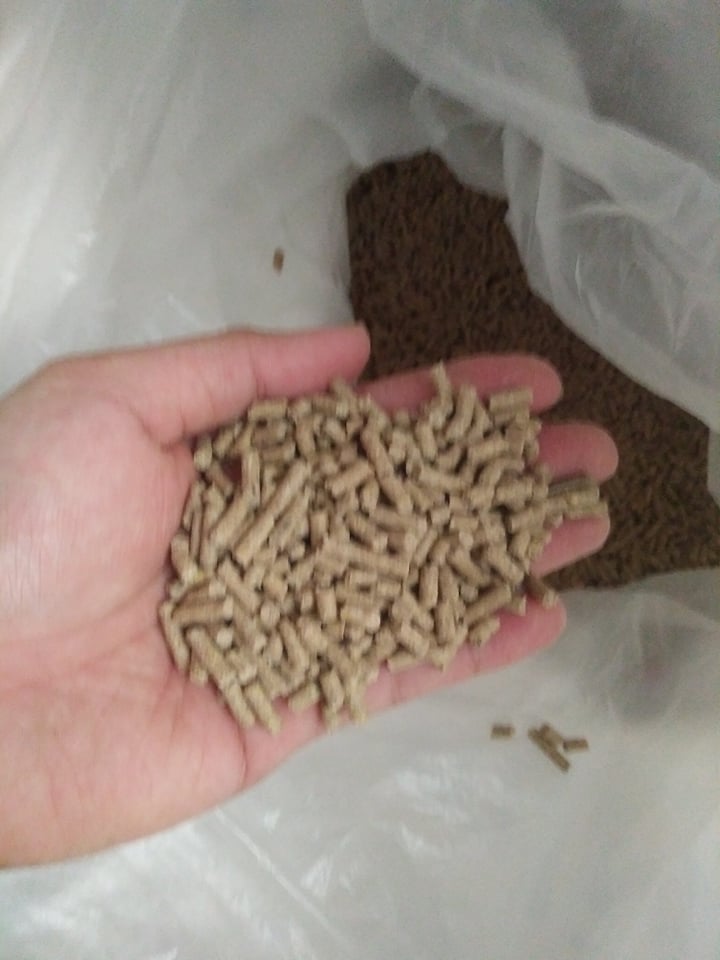 1 kg thức ăn hạt cho thỏ, bọ ú,nhím...