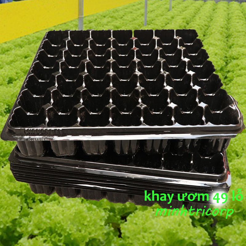5 khay ươm hạt dẻo bền