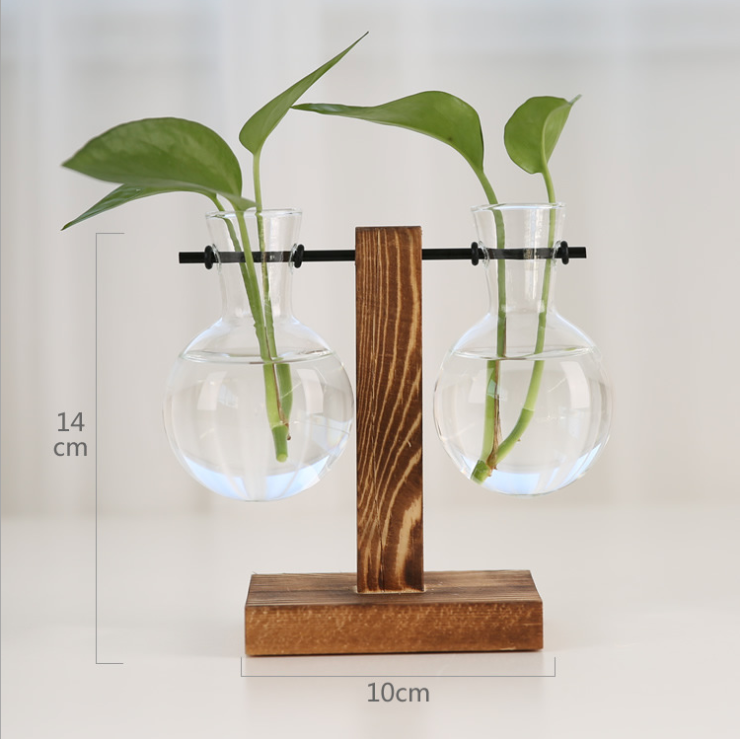 Bộ bể cá mini Chân Gỗ chữ T để bàn hợp phong thủy với 2 bình thủy tinh, bình trồng cây thủy sinh