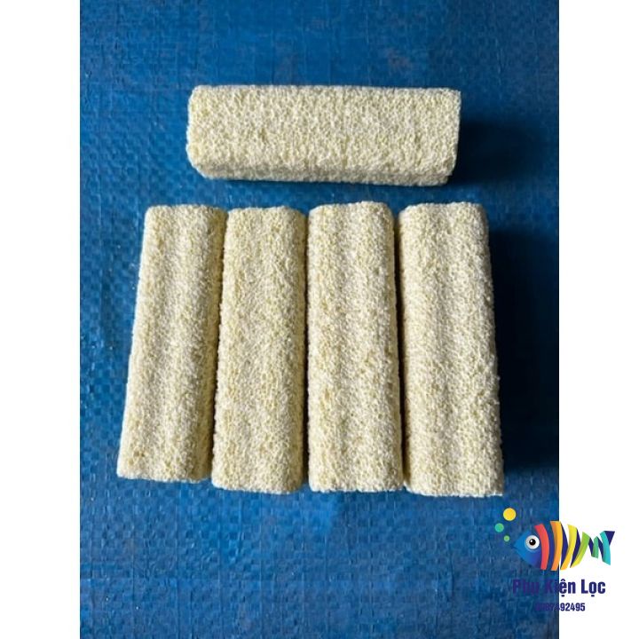 Combo 10 thanh su hoa mai size nho