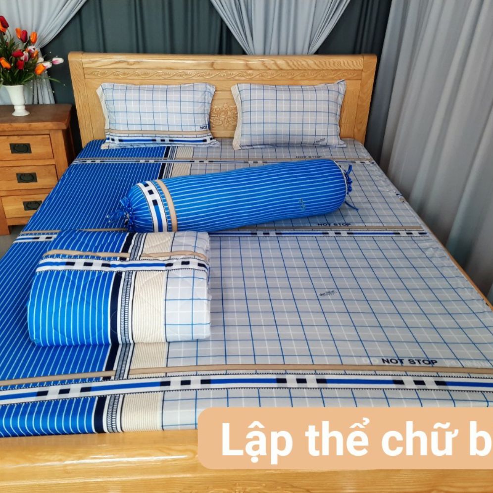 Bộ ga thun hàn quốc 1m6x2m