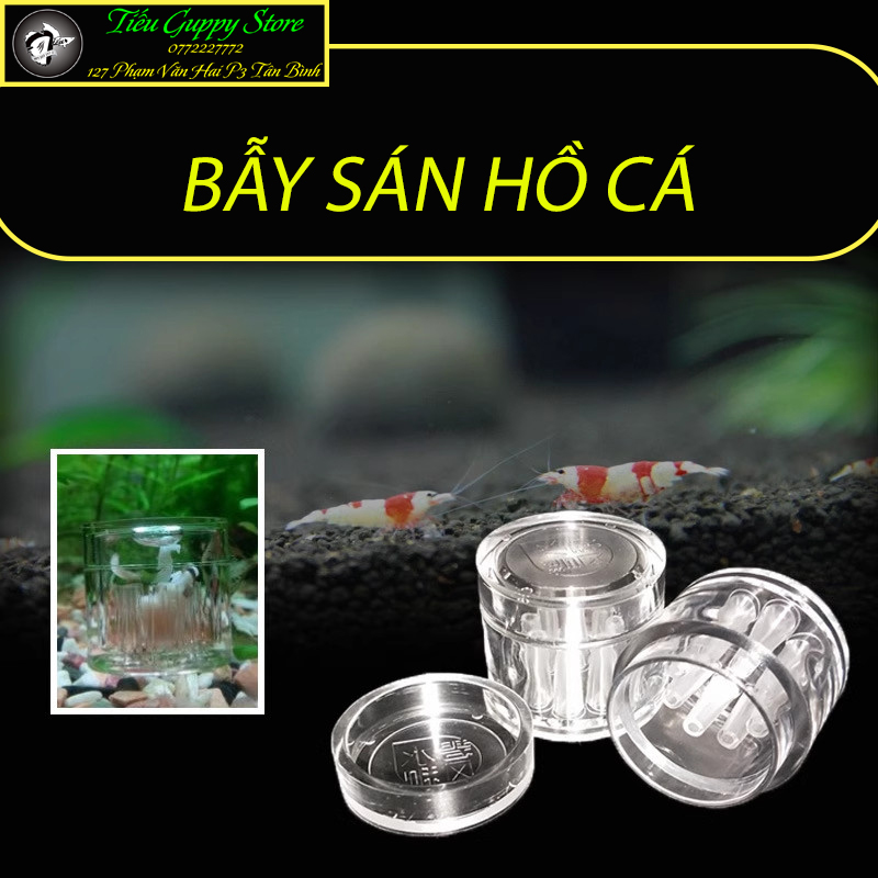 Bẫy sán 8 lỗ chuyên dụng cho bể thủy sinh, hồ tép cảnh