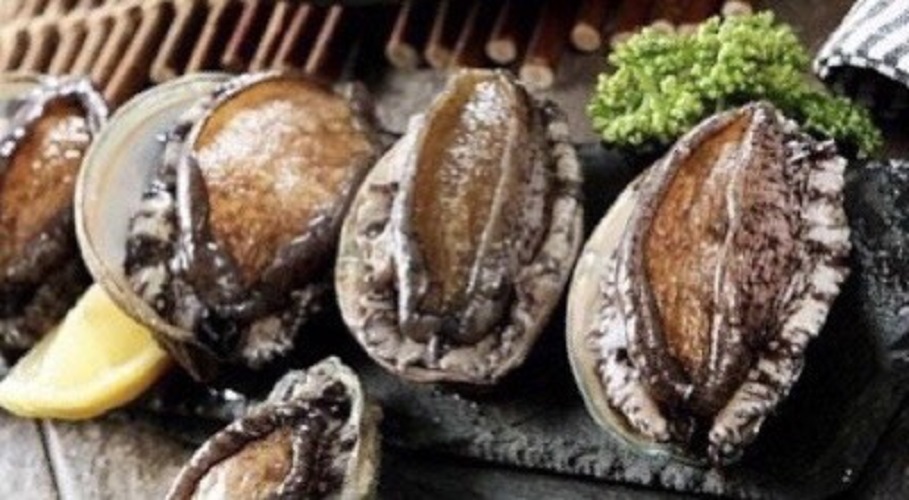 Bào ngư Nhập khẩu 1Kg - Thích hợp với các món cháo, xào, hấp, gỏi,...