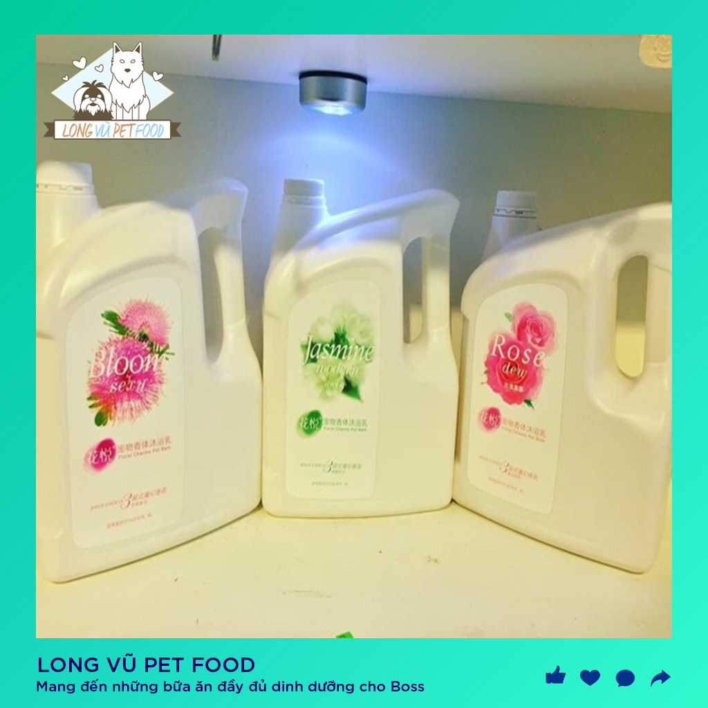 Sữa tắm cho chó mèo bloom can 4 lít