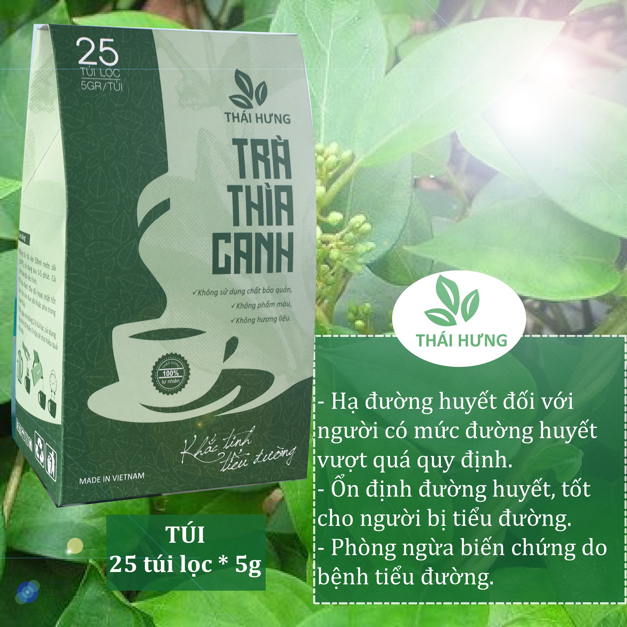 Trà thìa canh túi - tuần hoàn não - thái hưng