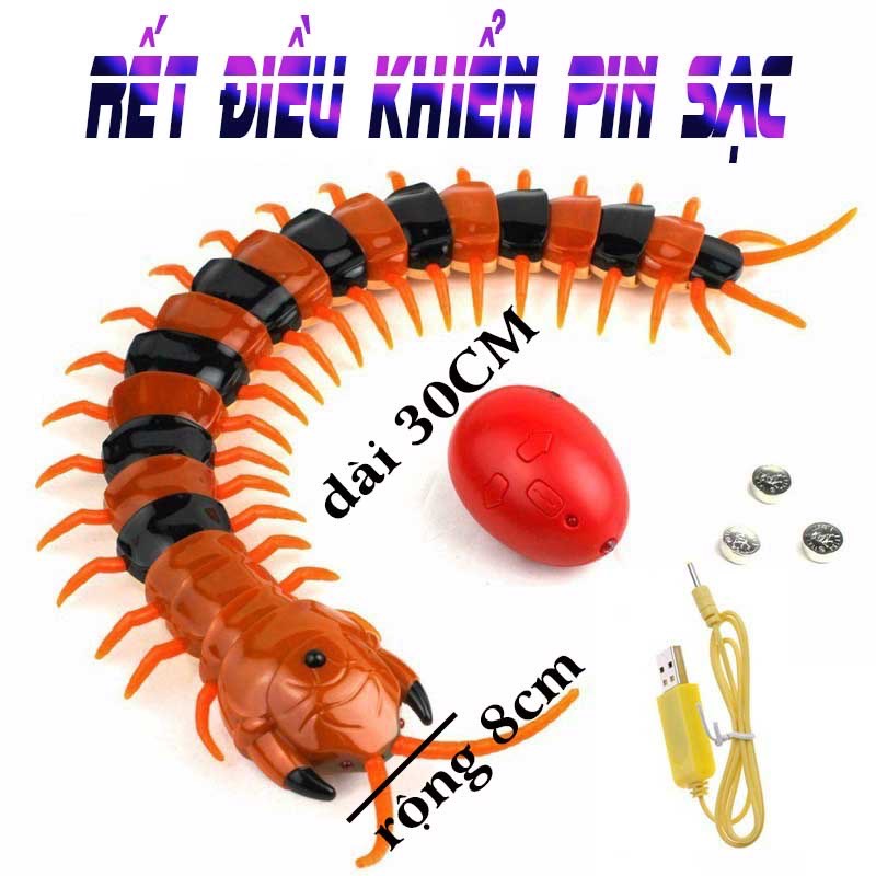 Đồ chơi con rết điều khiển từ xa, chất lượng đảm bảo